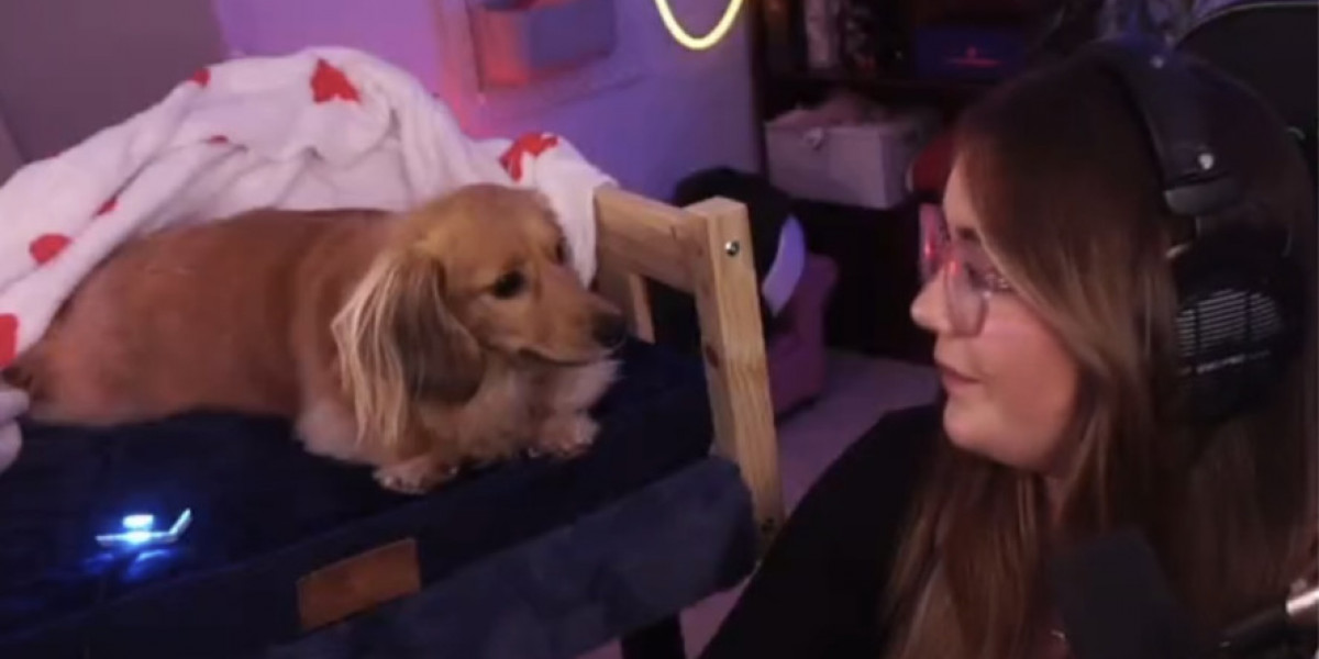 Pea the Dog - Marvel Rivals' Cutest Teammate