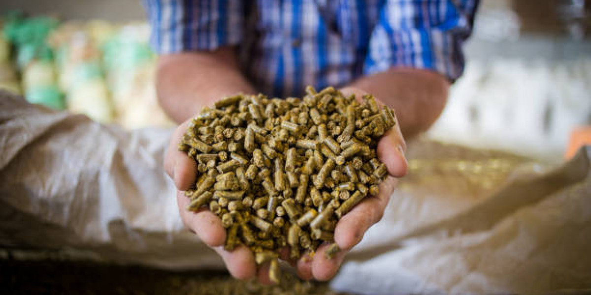 Key Drivers and Trends Shaping the Algae Based Animal Feed Sector 2026