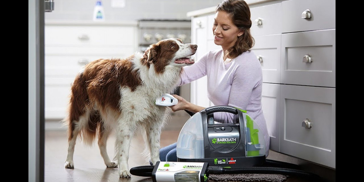 How Quality Dog Supplies Improve Your Dog’s Lifestyle