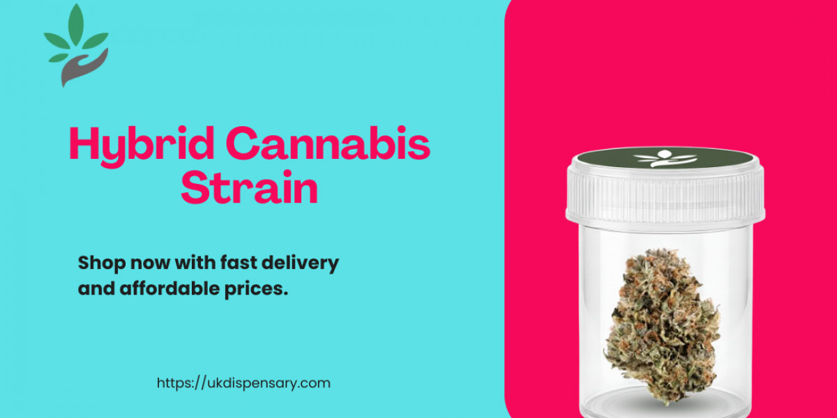 Best Hybrid Cannabis Strain Guide by UK Dispensary