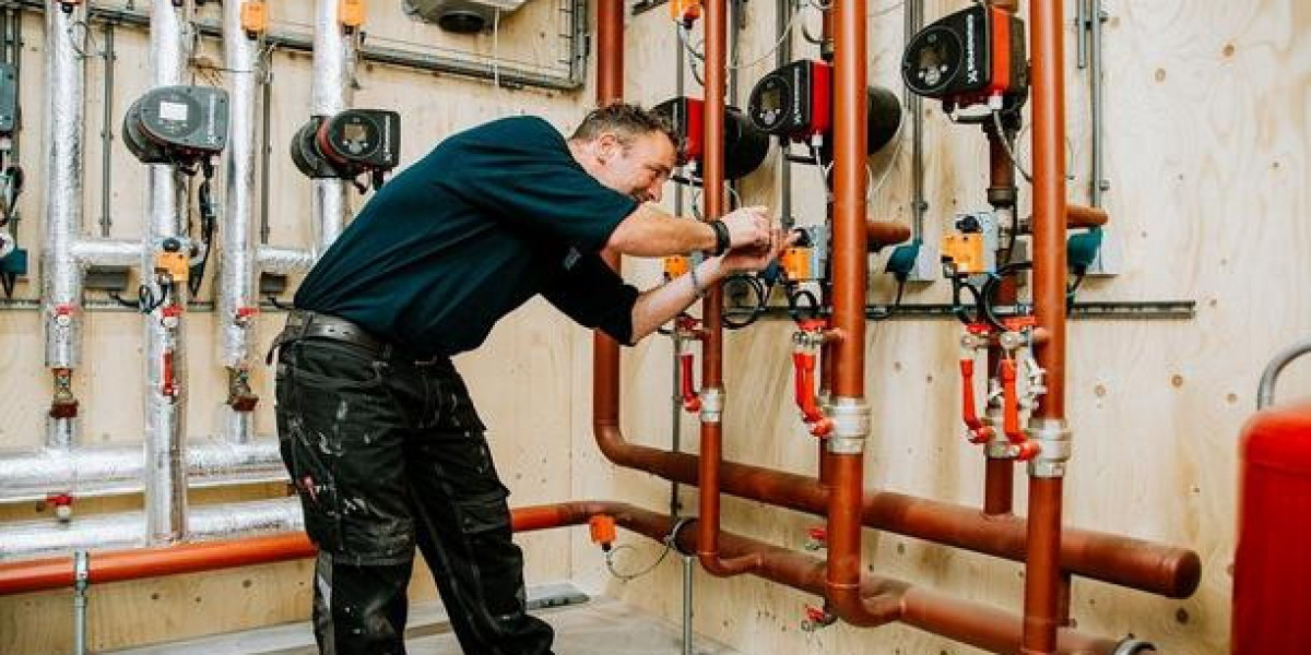 Het meest over het hoofd geziene feit over  onthuld