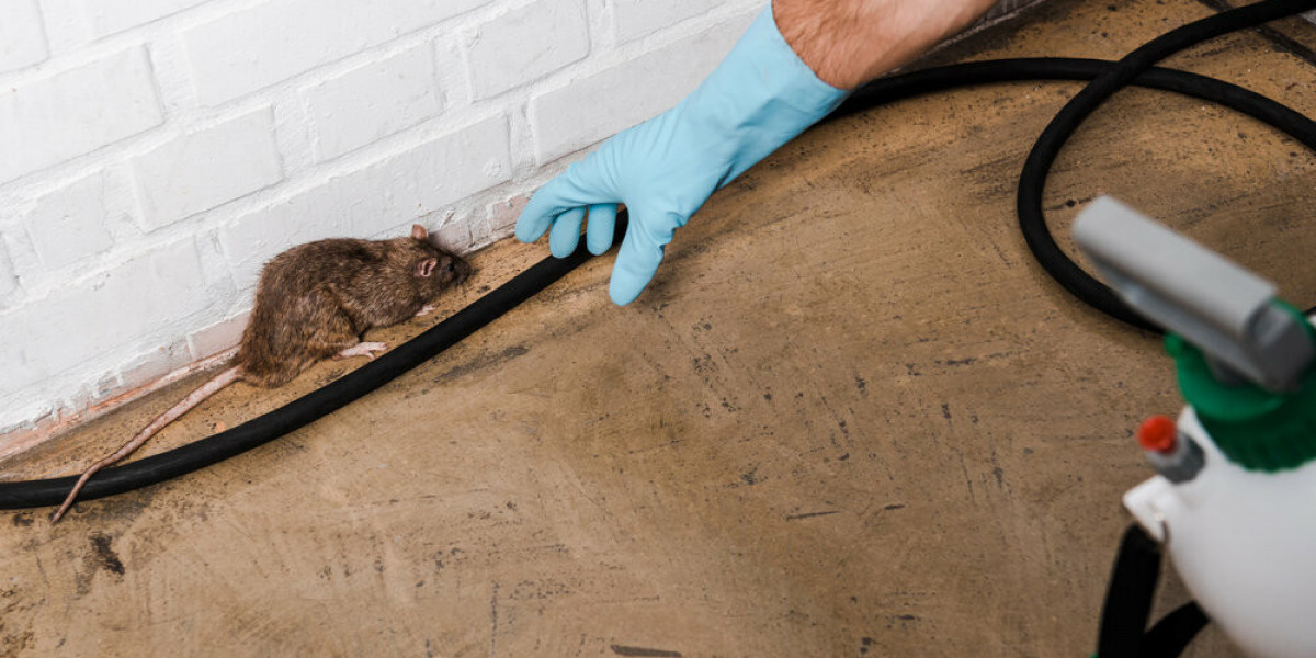 Top Rodent and Wildlife Control Services for Long-Term Prevention