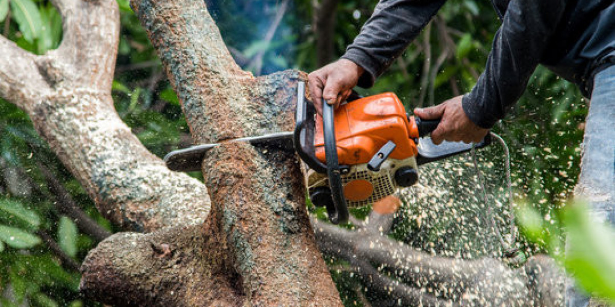 Comprehensive Guide to Professional Landscaping and Tree Surgery Services