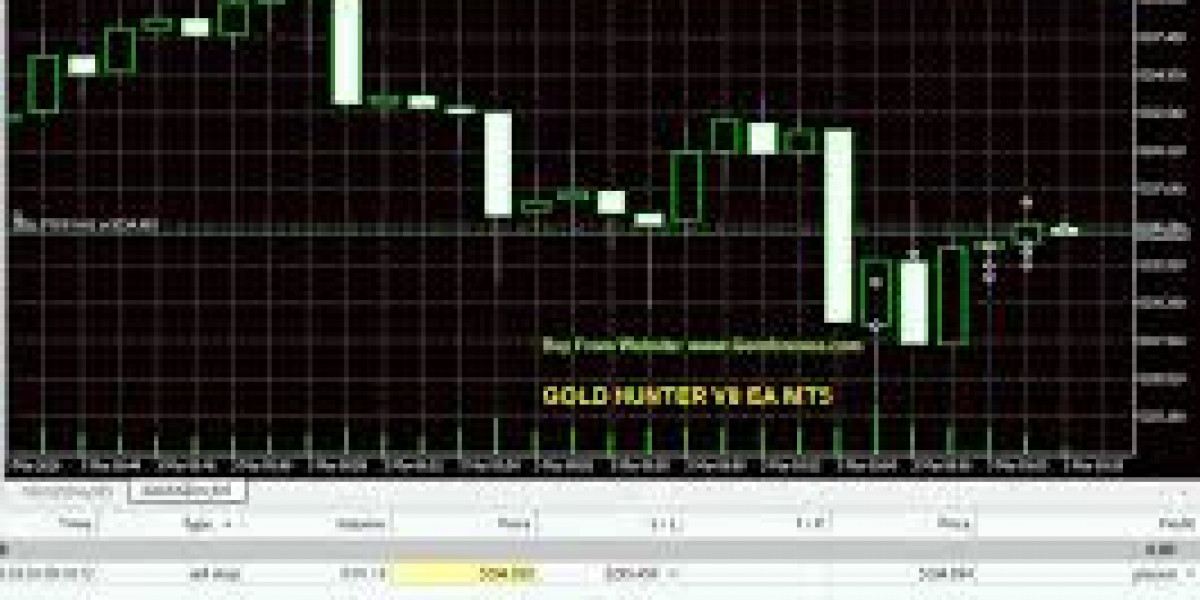 Gold Beast EA Price – What Traders Should Know Before Buying