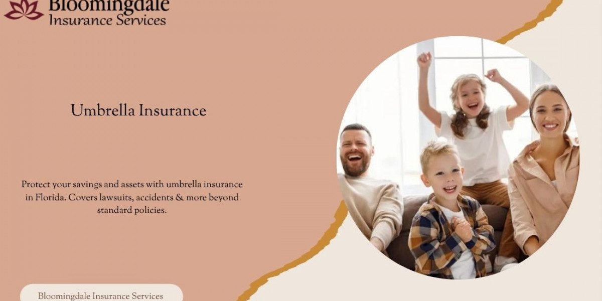 Comprehensive Umbrella Insurance Services in Valrico, FL | Bloomingdale Insurance Services