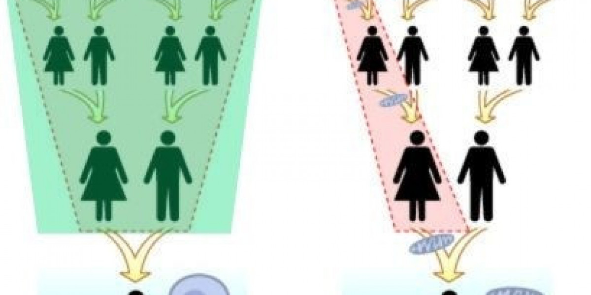 What Genes Are Inherited From the Mother Only?