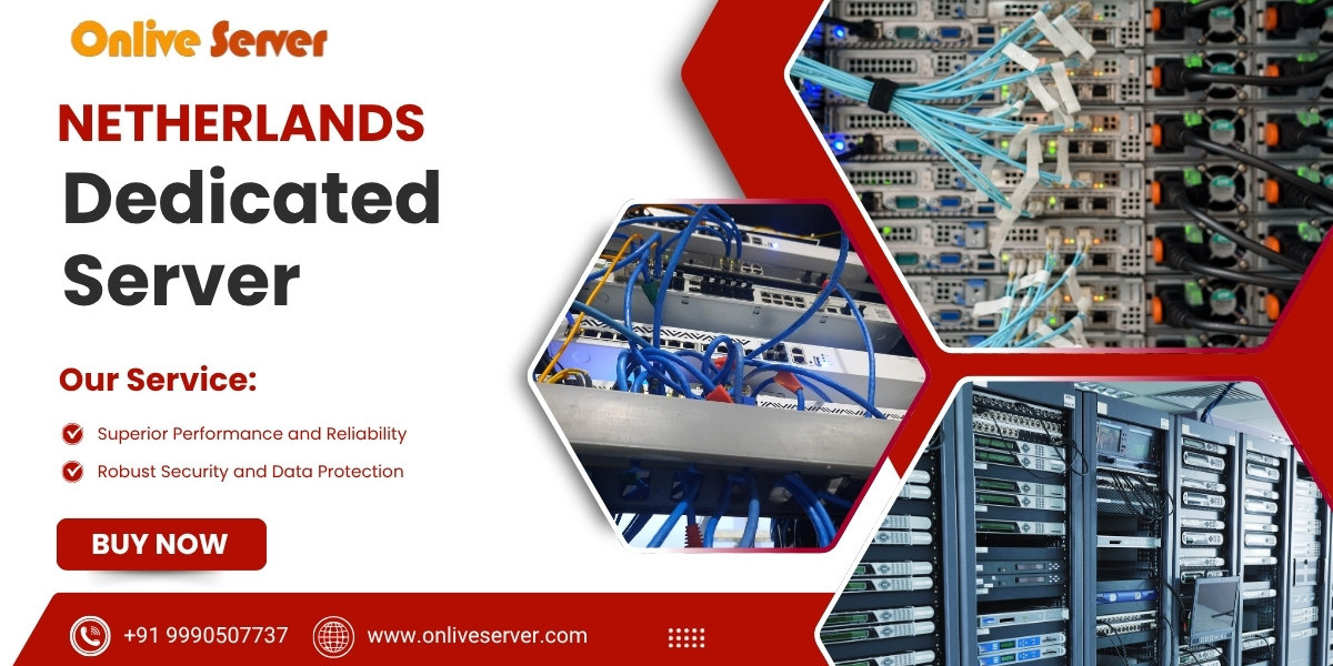 Netherlands Dedicated Server: Unmatched Reliability and Performance for Your Business Needs