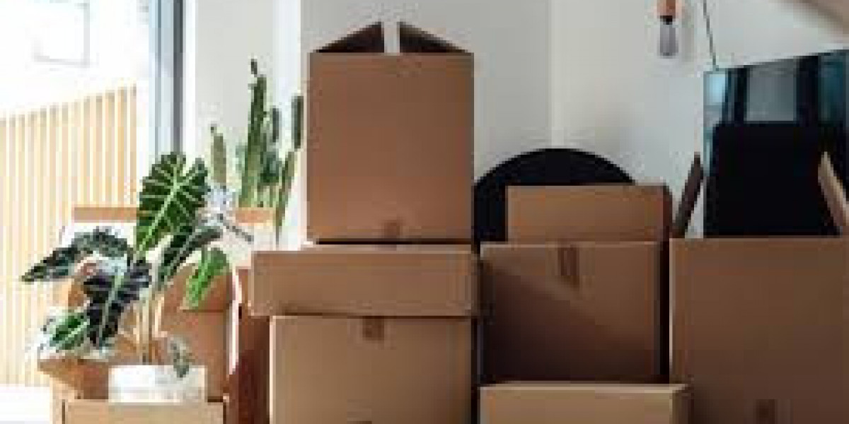 Cardboard Boxes vs Plastic Packaging: Which Is Better?