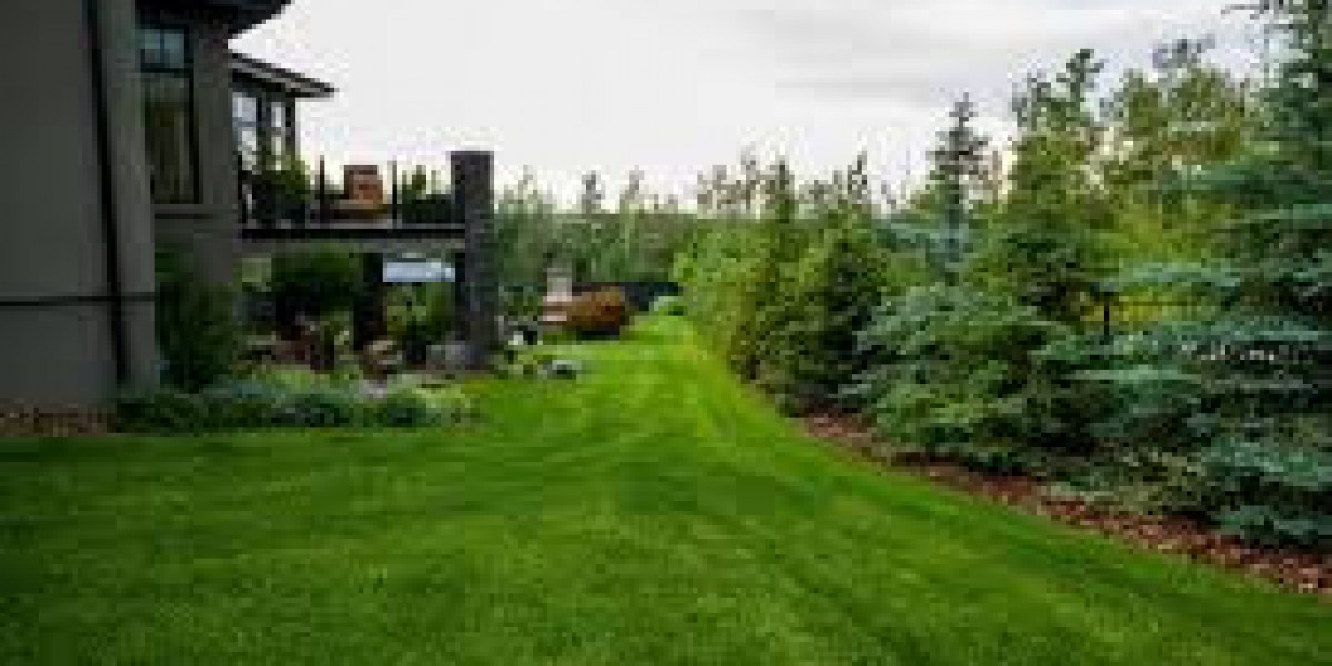 Affordable Lawn Mowing Sherwood Park for Busy Homes