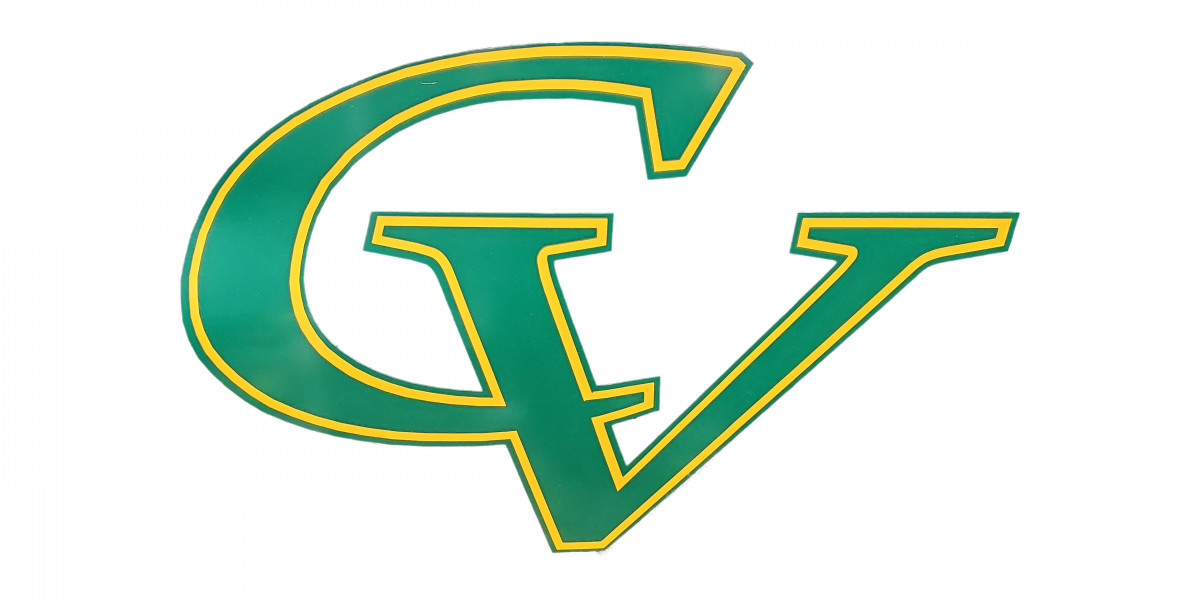 Clear View Auto Glass: Your Trusted Auto Glass Shop in South Carolina