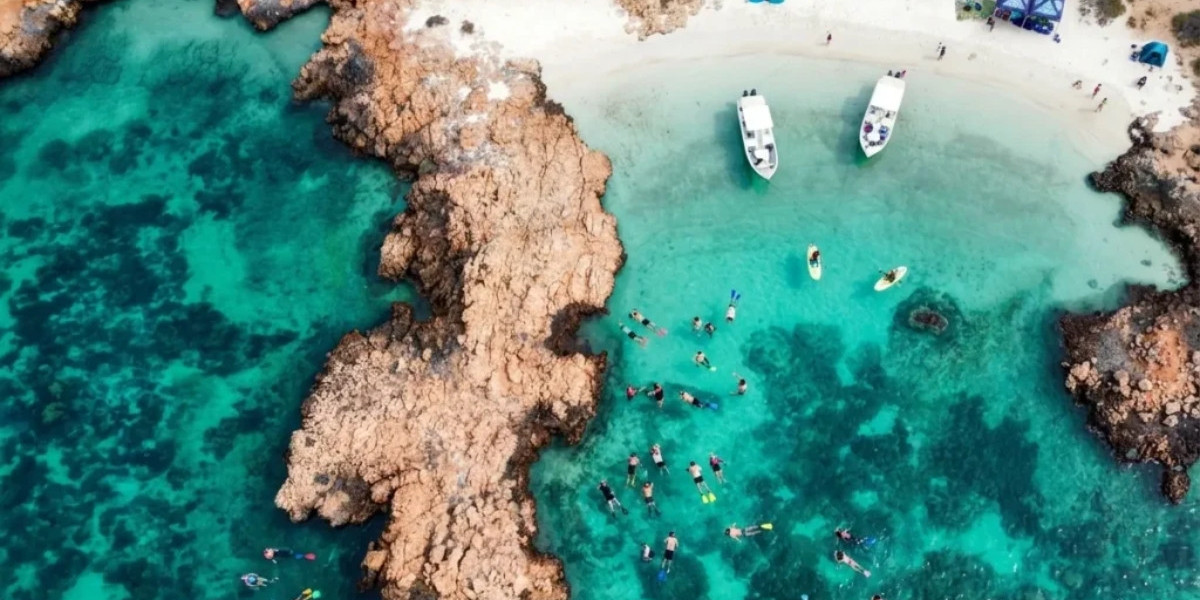 Are Guided Half Day Snorkeling Tours Better for You?