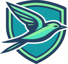 Swift Auto Transport