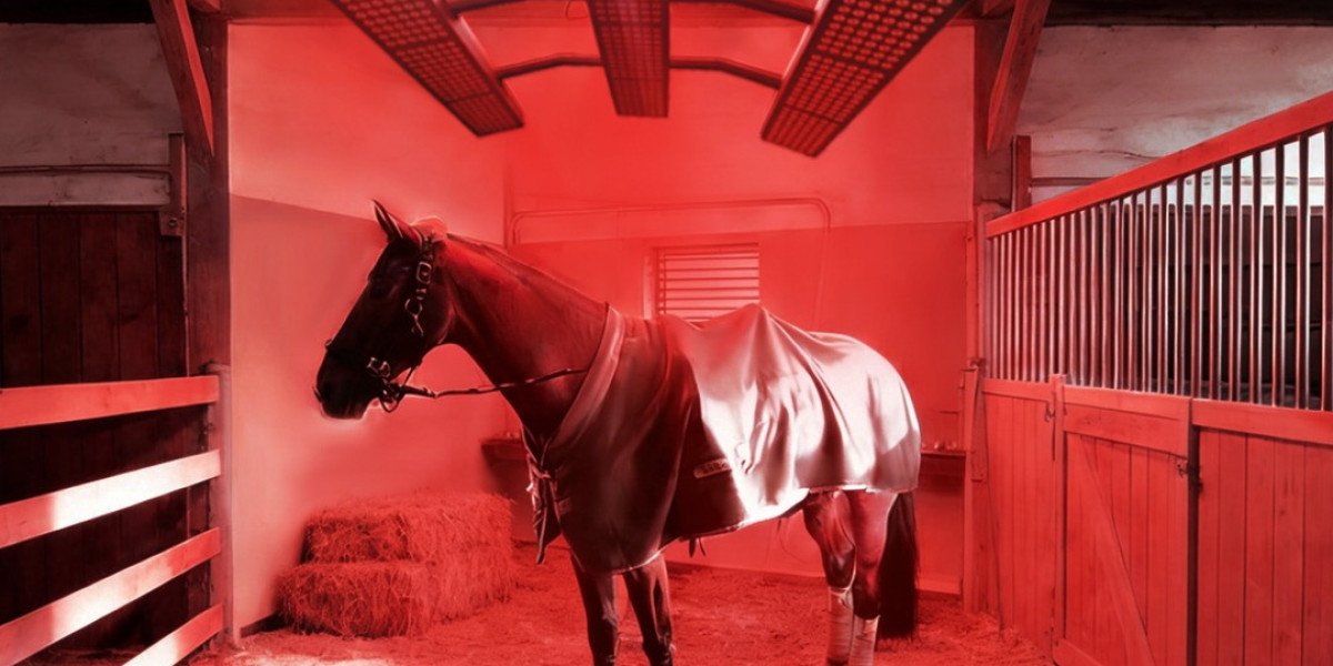 Enhance Your Horse’s Recovery with a Red Light Therapy Blanket