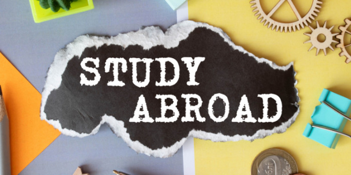 How to Find and Apply for Study Abroad Scholarships