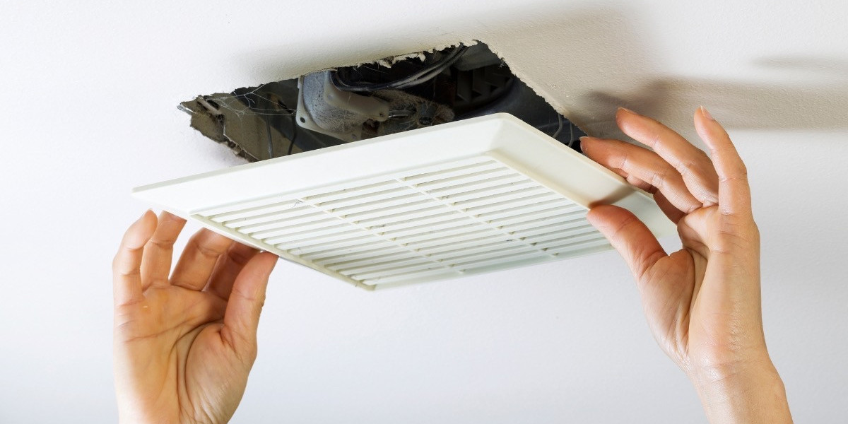 Illinois Mold & Allergen Duct Cleaning: What Homeowners Should Know