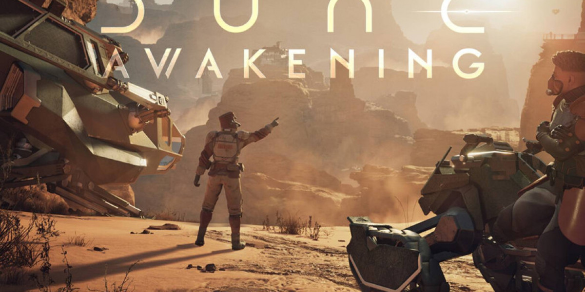 Vault Space in Desert MMO – Players Demand Expansion