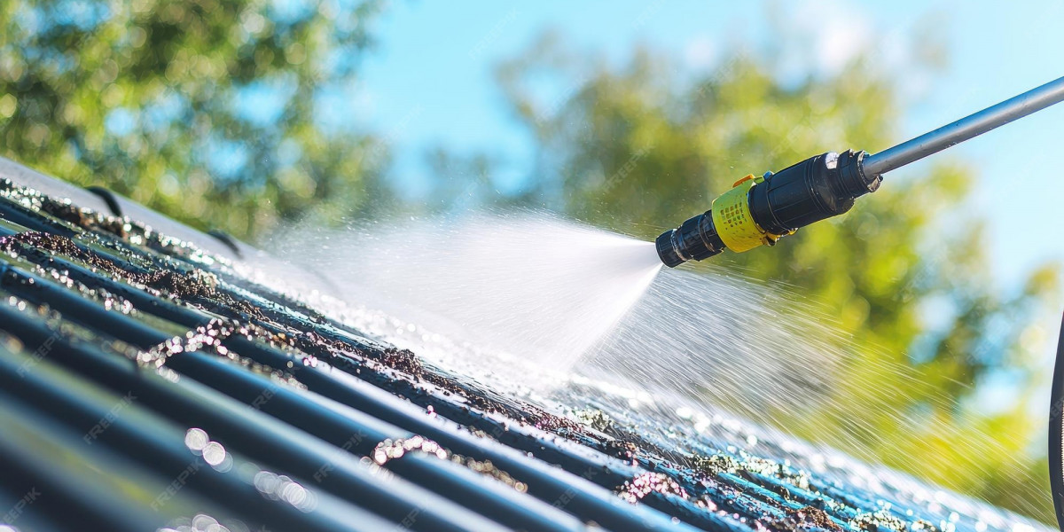 When to Call for Professional Roof Cleaning Near Me: Avoid Damage