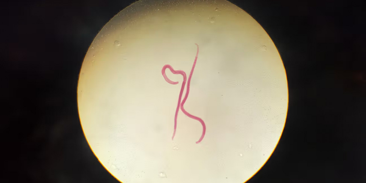 The Link Between Hygiene and Worm Infections