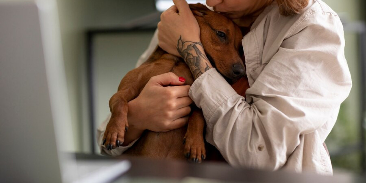 Key Uses of Fenbendazole 444 mg for Animals