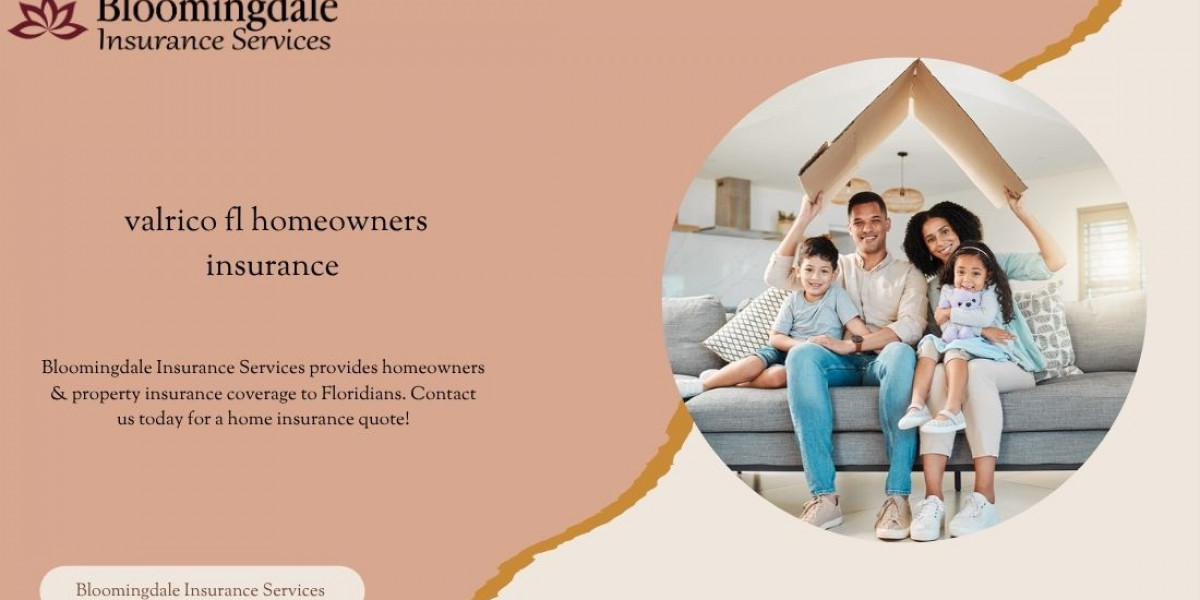 Comprehensive Guide to Valrico FL Homeowners Insurance by Bloomingdale Insurance Services