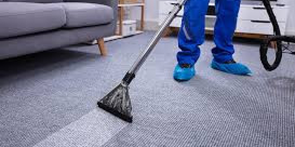 Carpet Cleaning Services Bring New Life to Carpets Showing Wear