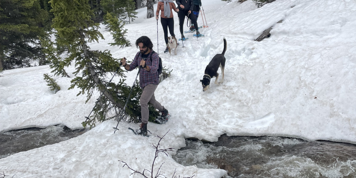 Corporate Team Building Retreats That Actually Transform Your Team