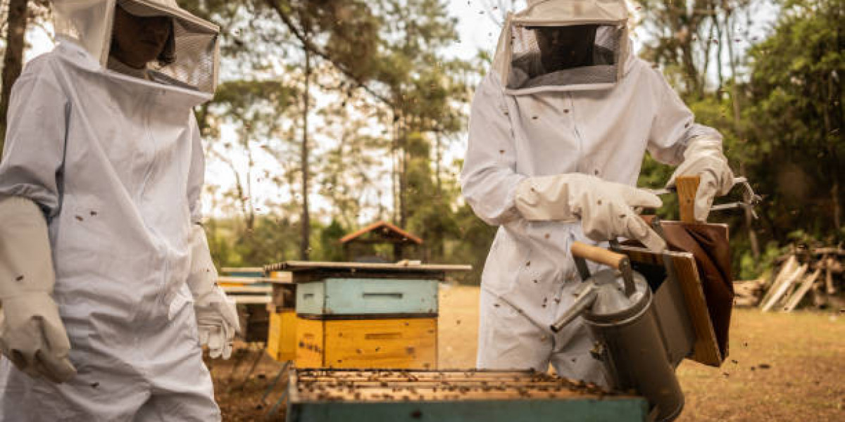 Top 10 Beekeeping Tips for Beginners to Succeed in Their First Year