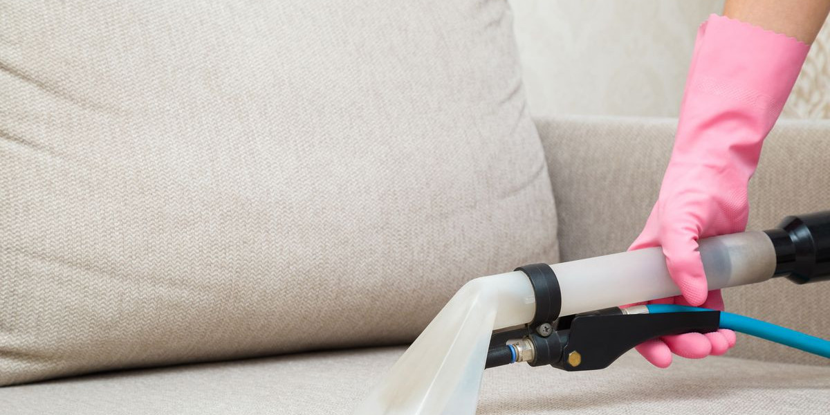 Boost Property Value with Carpet Cleaning for Rental Properties Lakewood CO