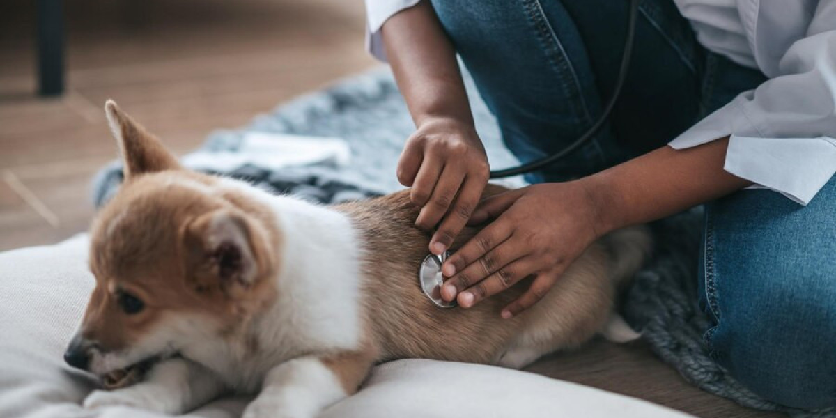 Fenbendazole Tablets: A Reliable Solution for Parasitic Worms